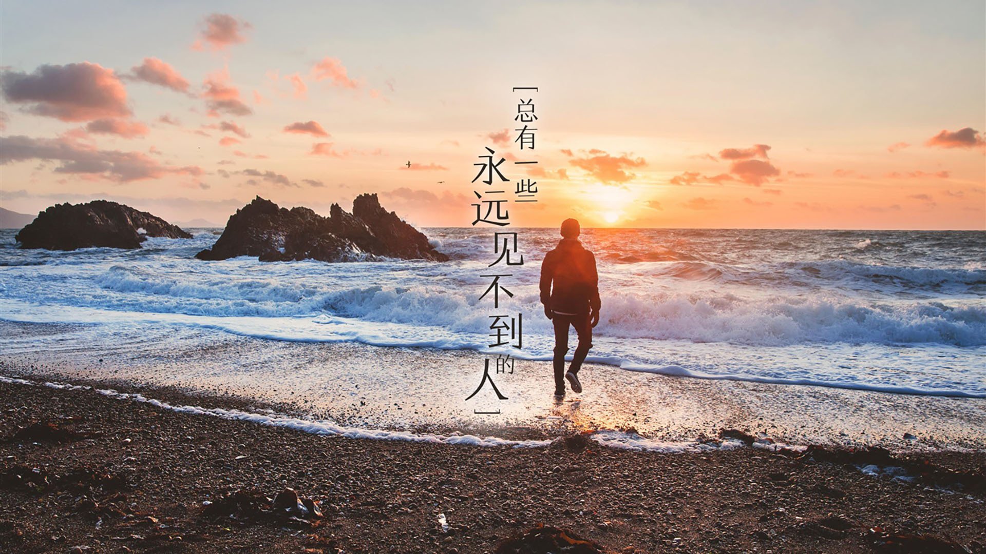 球迷“狂热支持”欧冠：最热烈的支持团体揭秘
