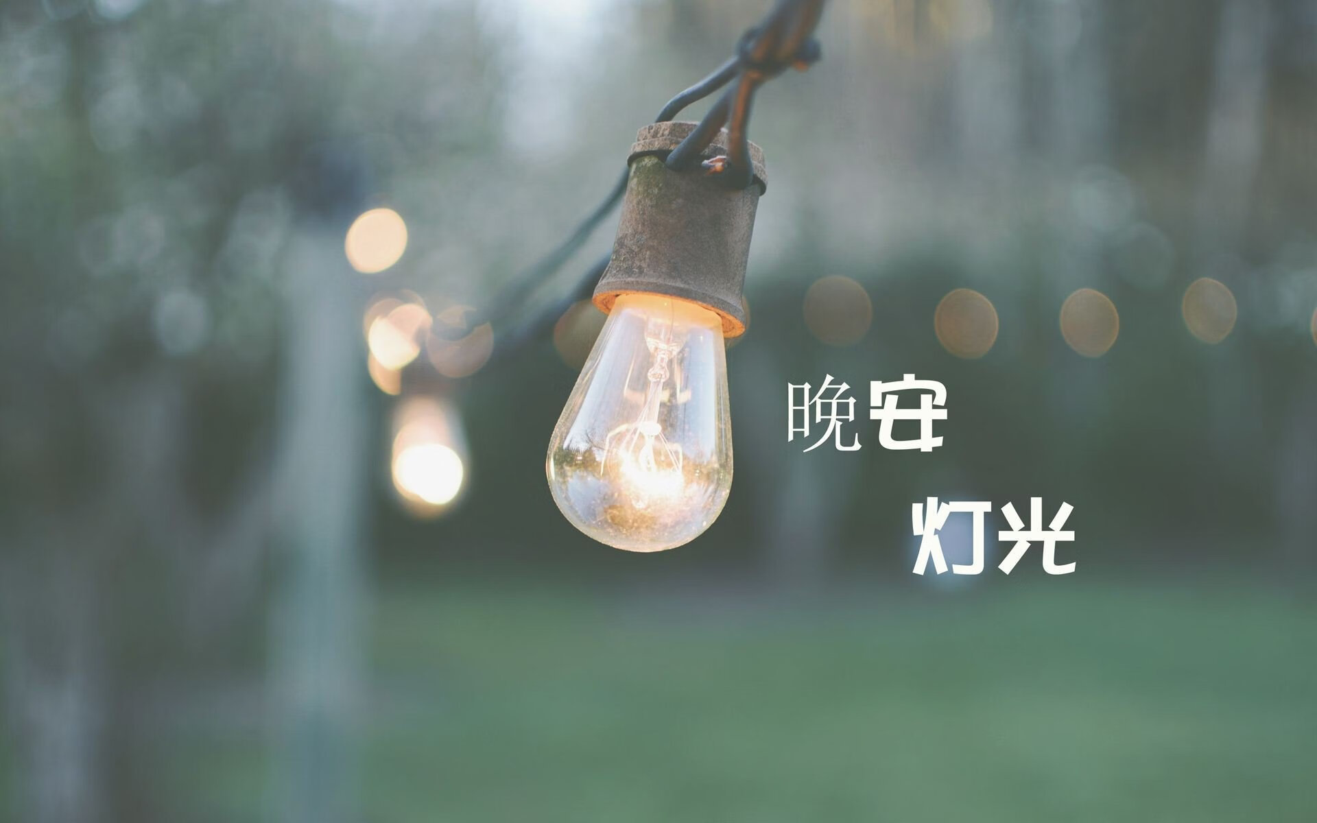 弗拉门戈与帕尔梅拉斯焦点大战，弗拉门戈paco