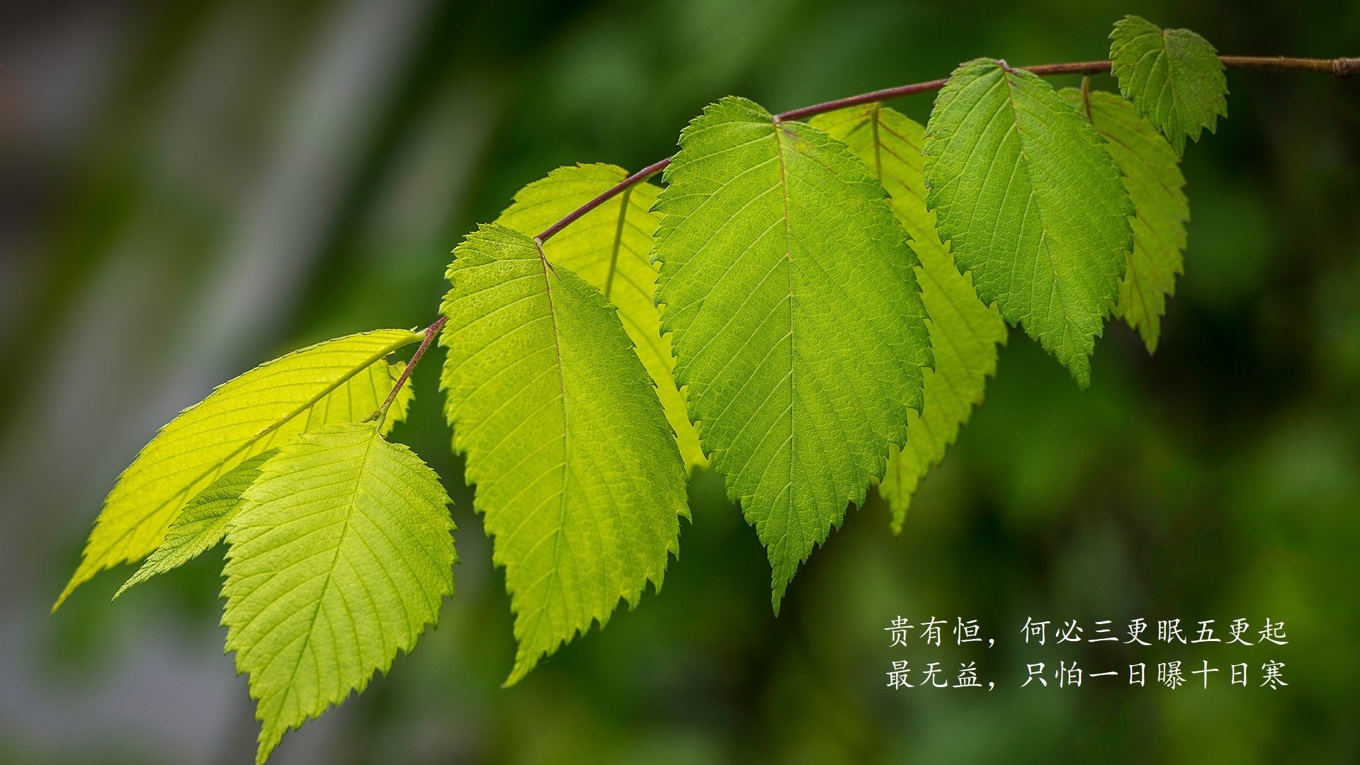 欧洲豪门将在赛场上展开激烈角逐，欧洲豪门球队排名