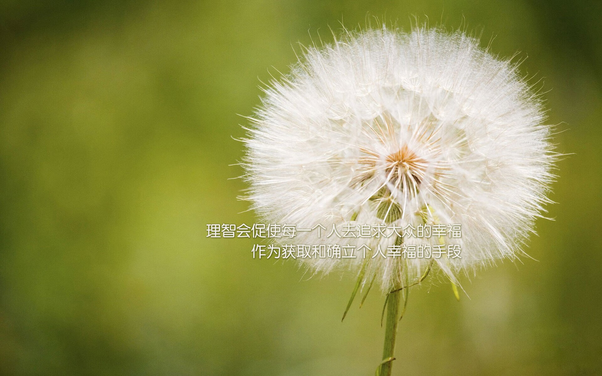 欧洲强队在大赛中展现出色状态，预备充足，欧洲队伍