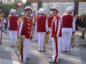中国女泳队团队氛围积极，中国游泳女队名将