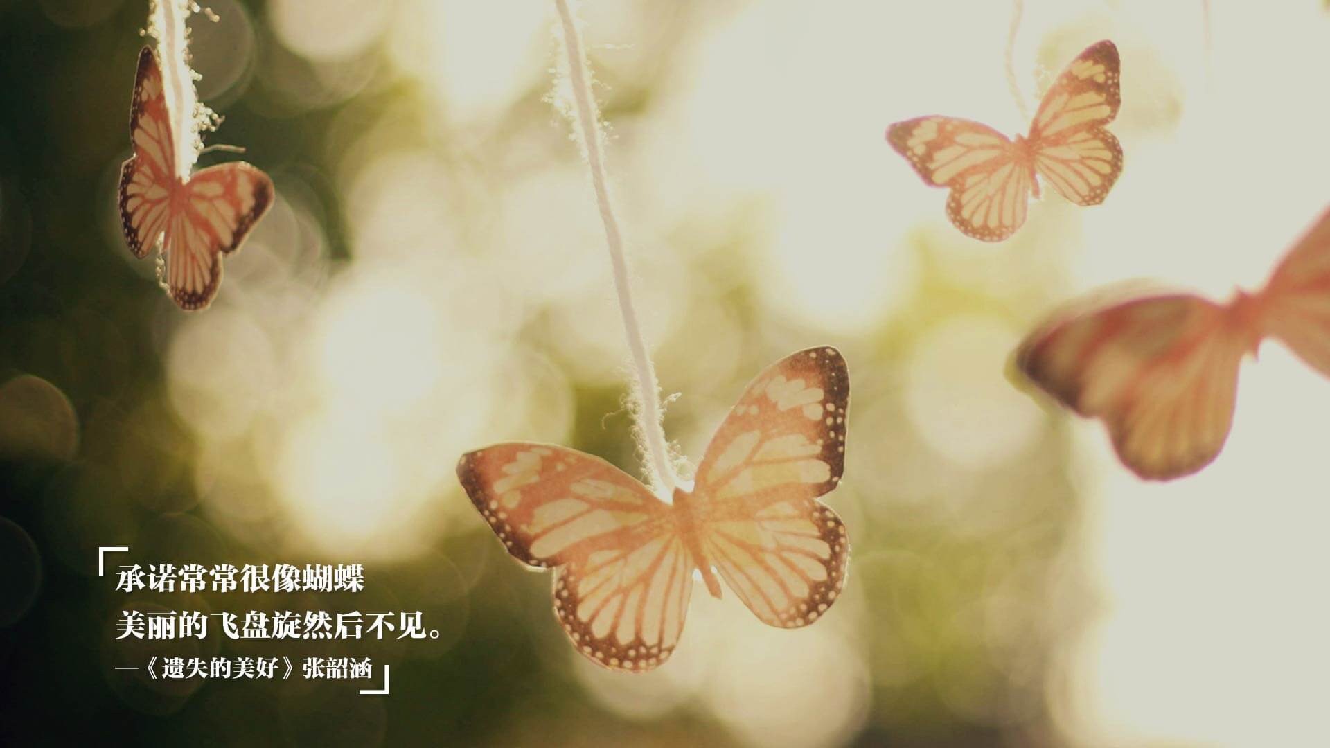 阵容灵活性是否等同于节奏适应性，灵活组排阵容