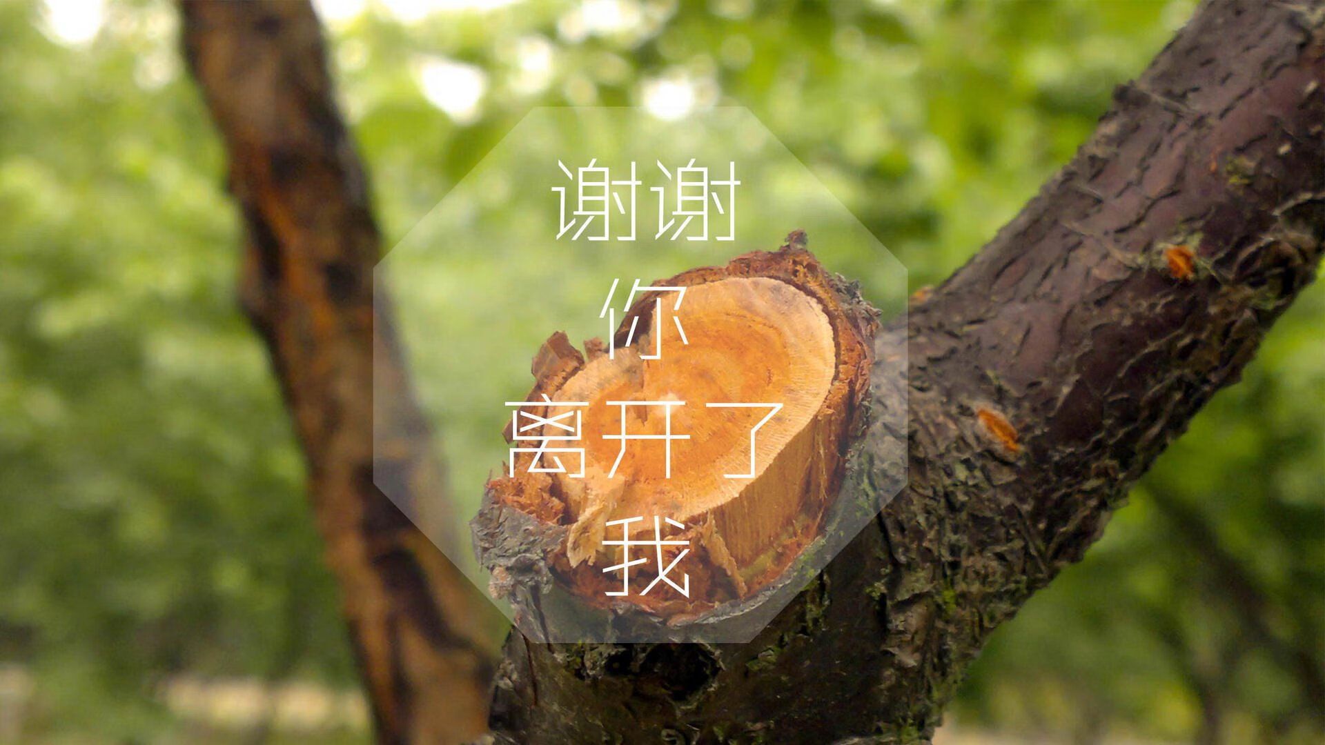 英超盛大盛宴：戏剧性的角逐场面，英超盛世